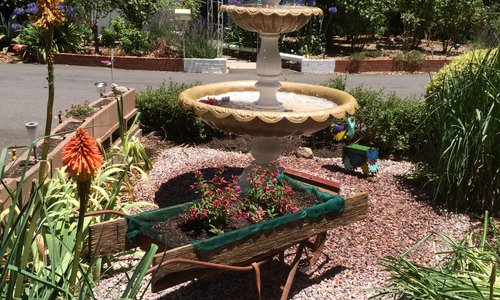 Enjoy our beautiful decorated park