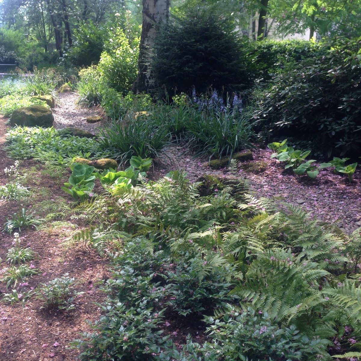 Botanischer Garten (Minden) All You Need to Know BEFORE You Go
