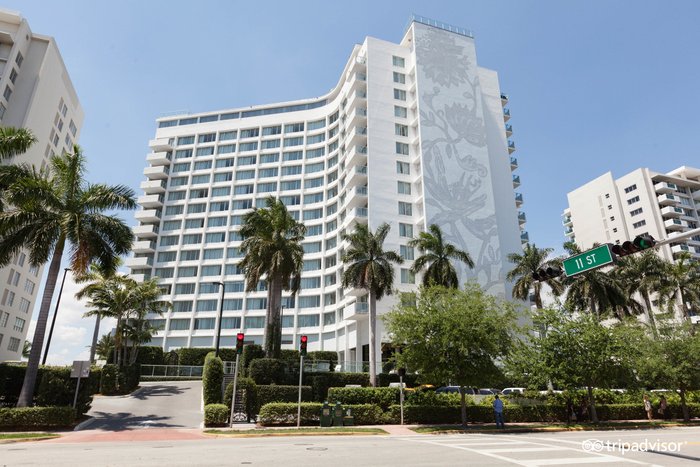 MONDRIAN SOUTH BEACH HOTEL $193 ($̶3̶7̶1̶) - Updated 2023 Prices & Reviews  - Miami Beach, FL