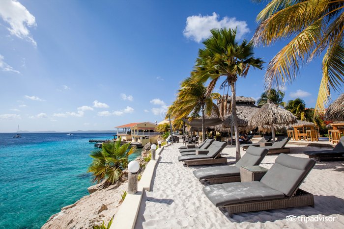 DIVERS PARADISE APARTMENTS BONAIRE, CARIBE: 117 fotos, comparação de preços  e 12 avaliações - Tripadvisor