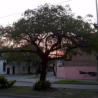 Plaza Belgrano