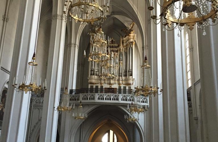 L'organo Rieger