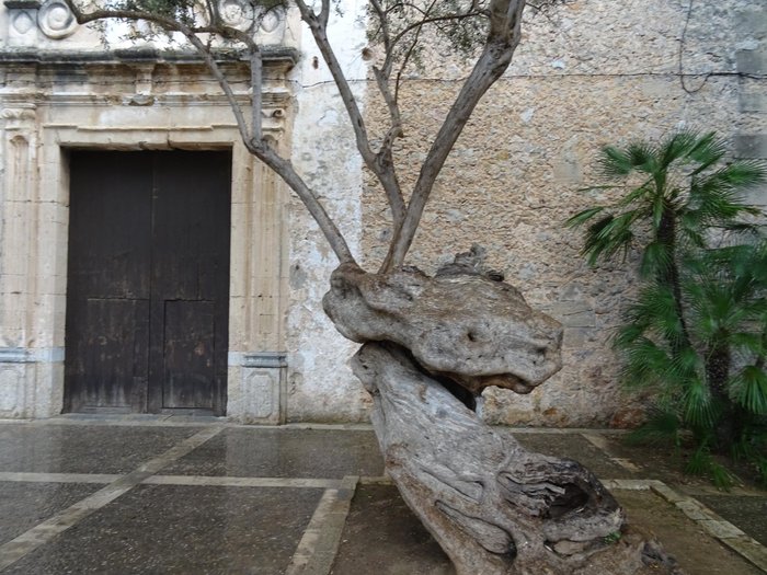 Imagen 6 de Museu de Pollença
