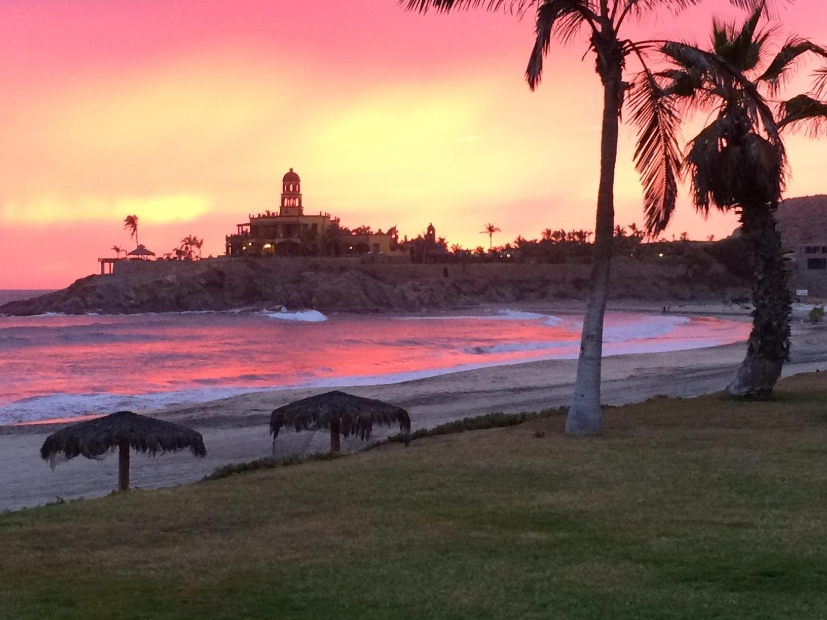 cerritos surf club