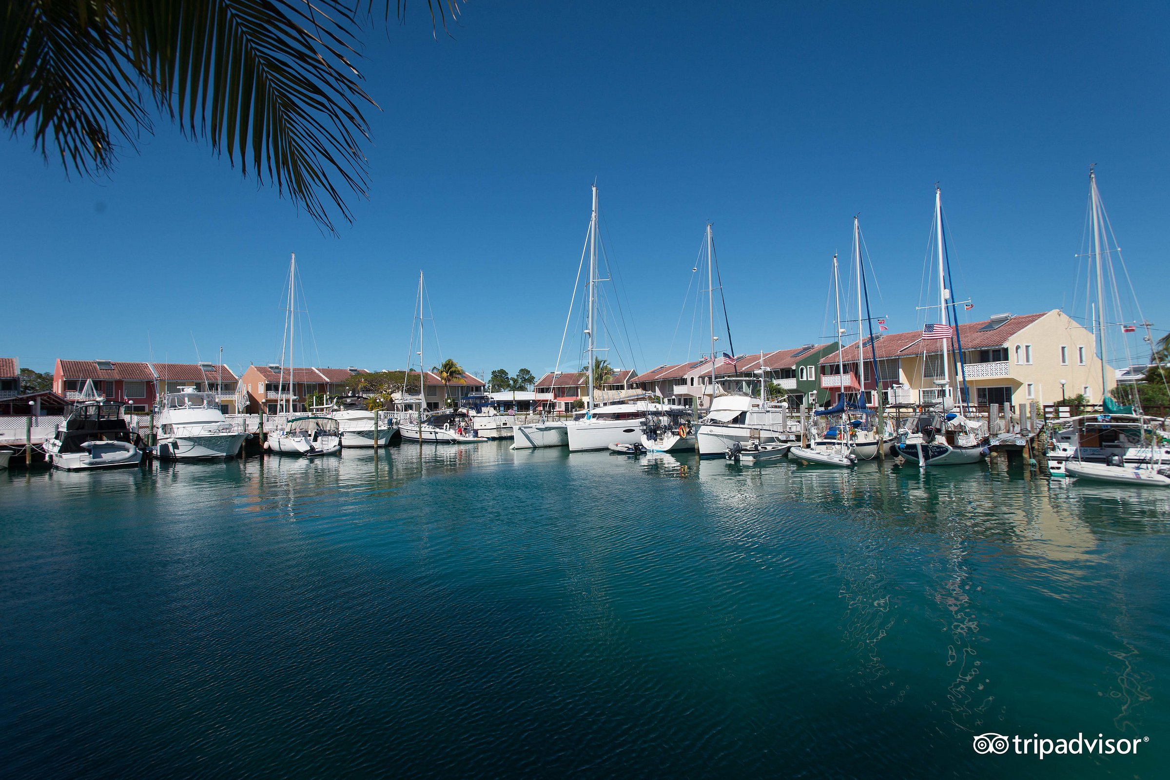 ocean reef yacht club nassau bahamas