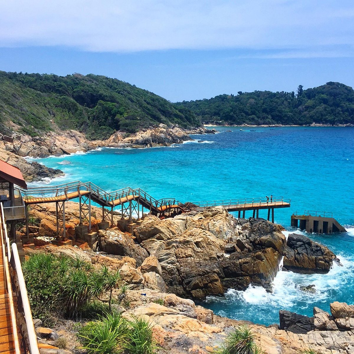 Перхентиан. Пулау павай. Фото Перхентиан. Perhentian Islands Lizarda.