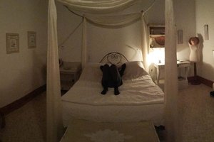 Quarto e suite
