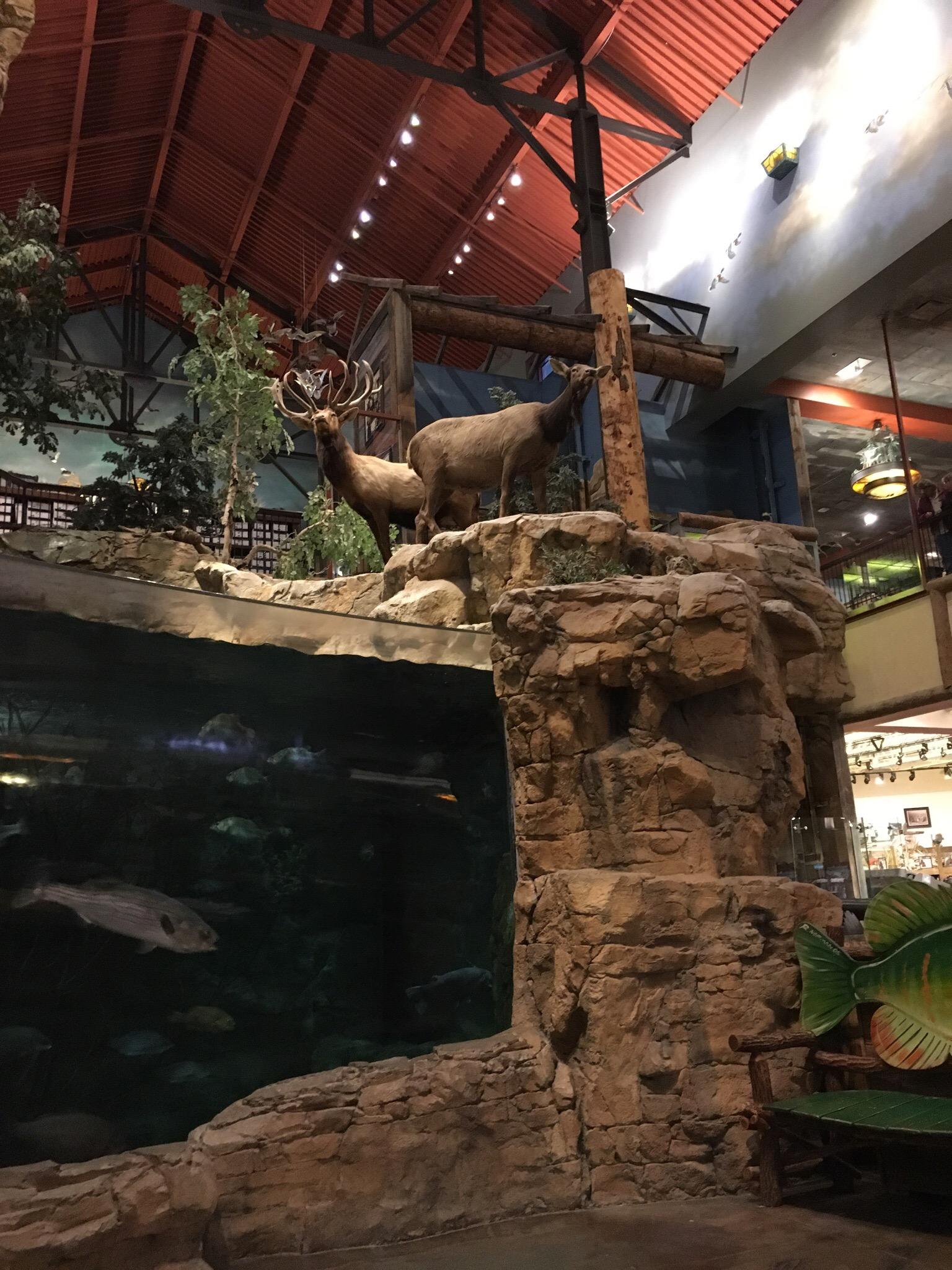 Bass Pro Shops All You Need to Know BEFORE You Go 2024