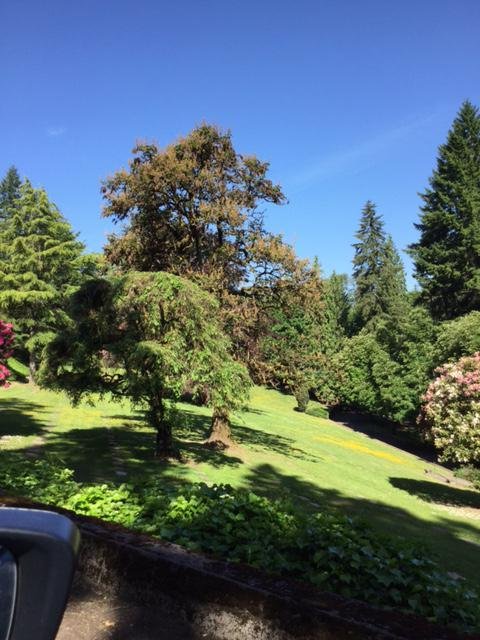 River View Cemetery, Portland