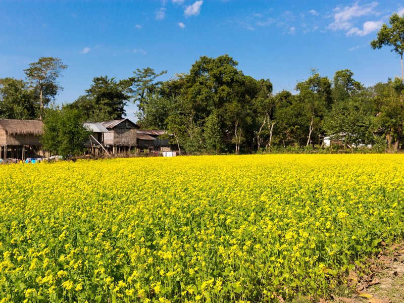 North Lakhimpur Tourism All You Need to Know Before You Go (2024)