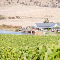 Puddleduck cellar door and vineyard