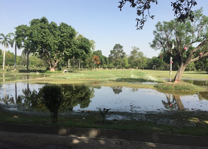 A calm green park.