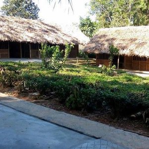 Amazing homestay just outside hanoi