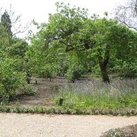 Hierbij een stukje van het prachtige areboretum De Dreijen in Wageningen.