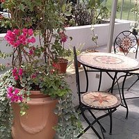 The little botanical garden