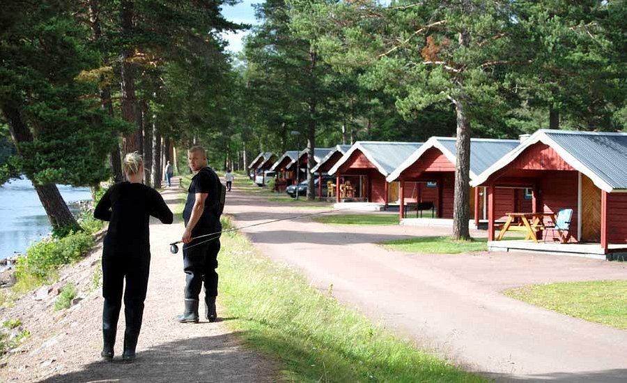 Flugfiske i Älvdalen | Fiska harr och öring | Älvdalens Fiskecenter