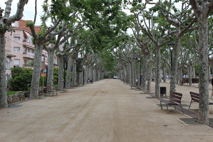 Imagen 10 de Paseo Marítimo Manuel Puigvert