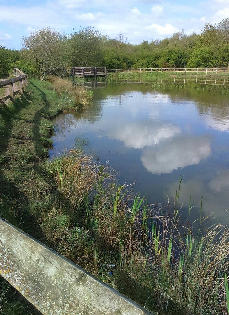 GREAT AYCLIFFE WAY (Newton Aycliffe): Ce qu'il faut savoir pour votre ...