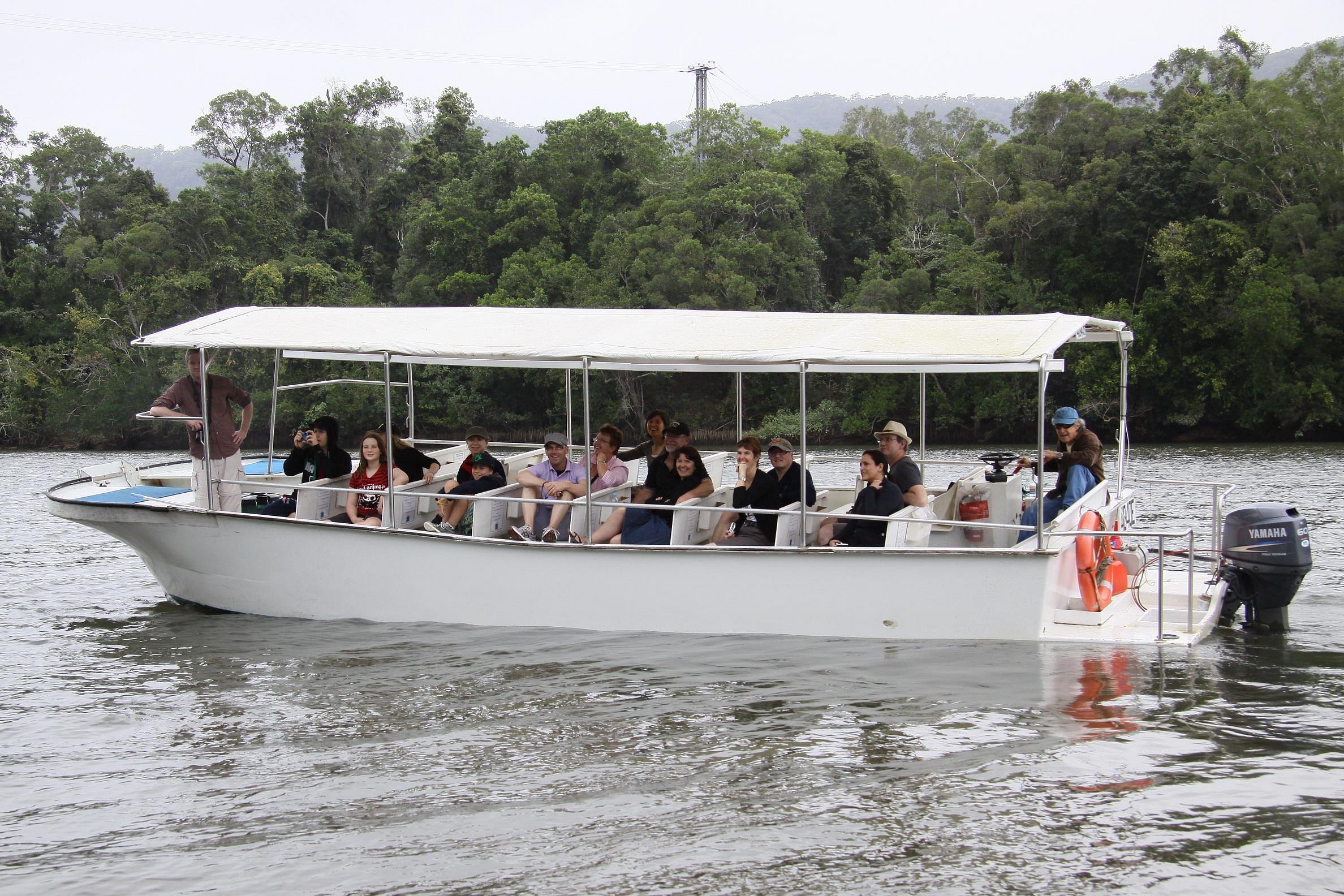 daintree river cruise experience