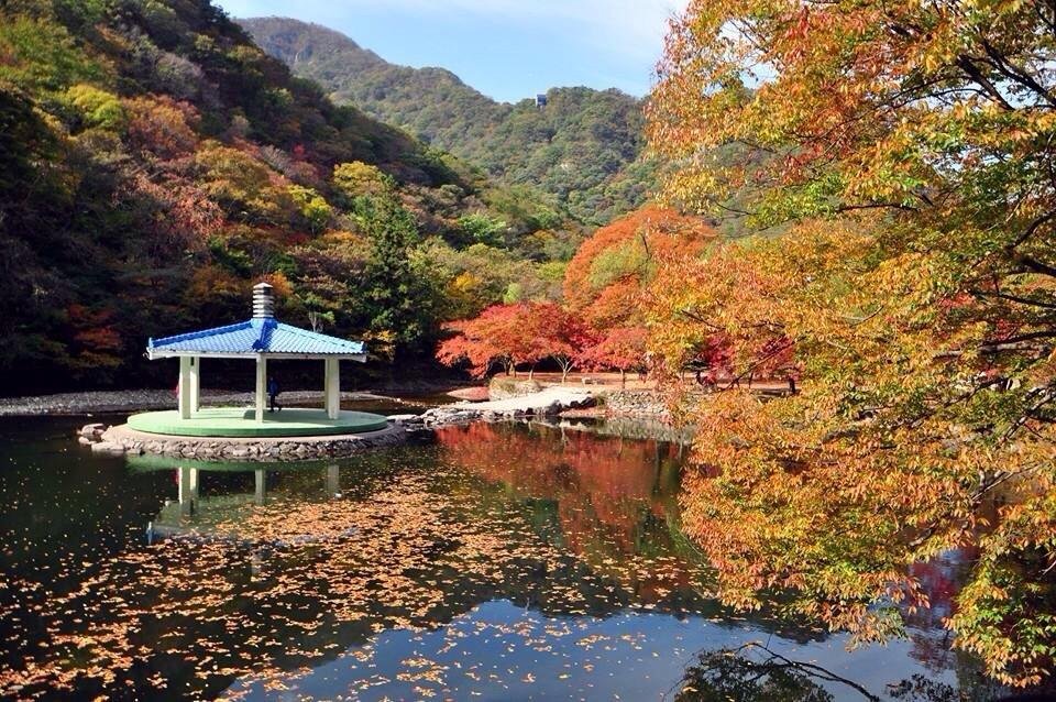 sunchang gun naejangsan national park yorumlari tripadvisor