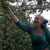 LilacWine60