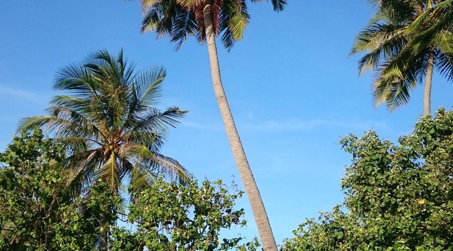 View from the balcony/sun terrace