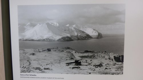 Aleutian Islands review images