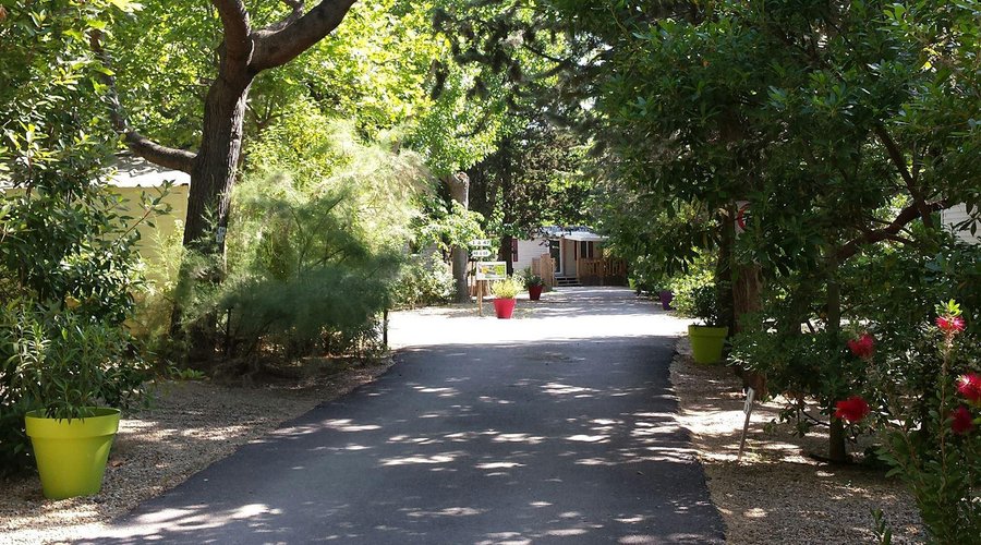 Allée du camping