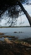 Amazonaguapa