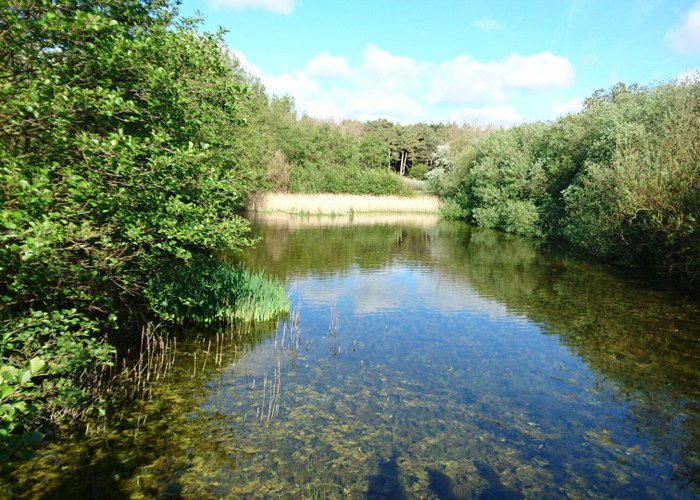 Formby, England 2024: Best Places to Visit - Tripadvisor