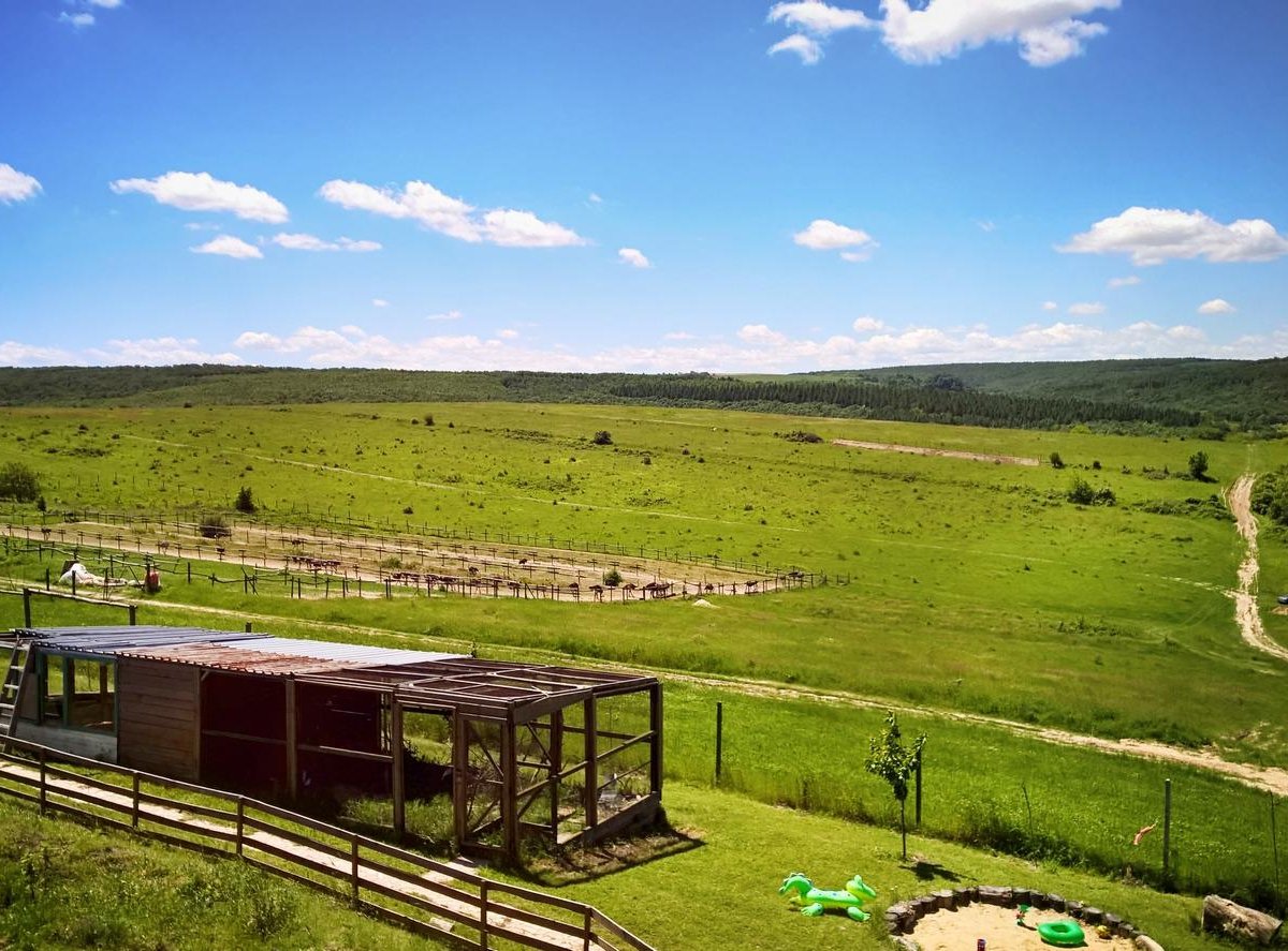 Green Bird Ostrich farm/park, Варна: лучшие советы перед посещением -  Tripadvisor