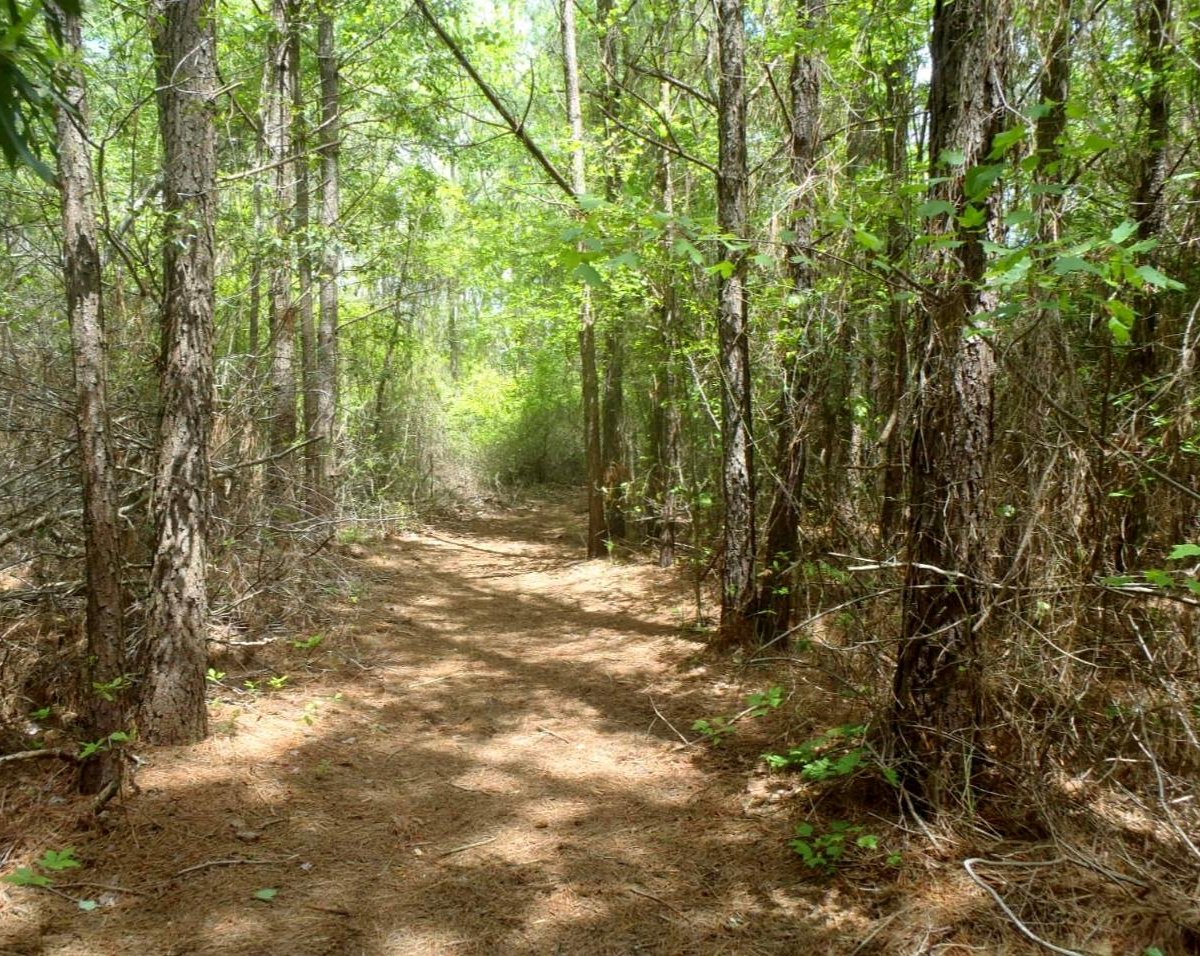 James Farm Ecological Preserve (Ocean View) - All You Need to Know ...