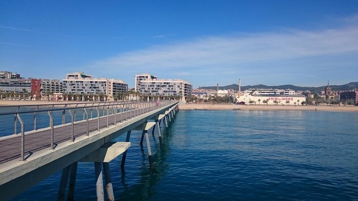 Imagen 1 de Pont del Petroli