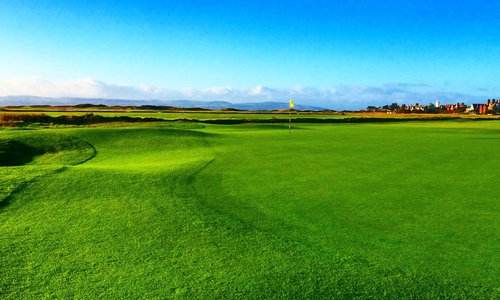 The links in typically great condition