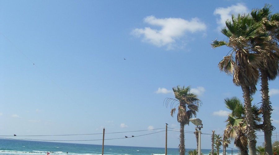 Bat Yam Boardwalk-Tayelet