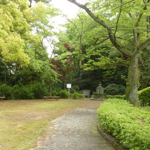 21年 福井市で絶対外さないおすすめ観光スポットトップ10 定番から穴場まで トリップアドバイザー