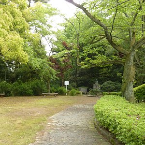21年 福井市で絶対外さないおすすめ観光スポットトップ10 定番から穴場まで トリップアドバイザー 21年 福井市で絶対外さないおすすめ観光スポットトップ10 定番から穴場まで トリップアドバイザー
