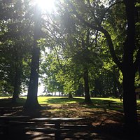 Great park with many areas to explore. Off leash areas (not fenced). Nice tree/shade and sun. Gr