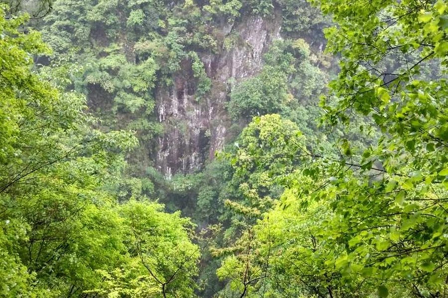 Dapanshan National Nature Reserve image