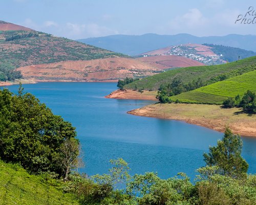 THE 5 BEST Ooty (Udhagamandalam) Nature & Wildlife Areas