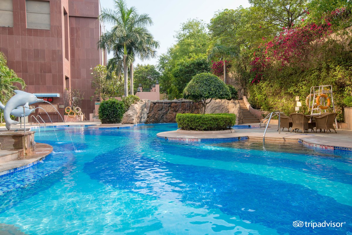 Sheraton New Delhi Hotel Pool: Pictures & Reviews - Tripadvisor