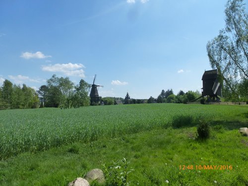 Gifhorn review images