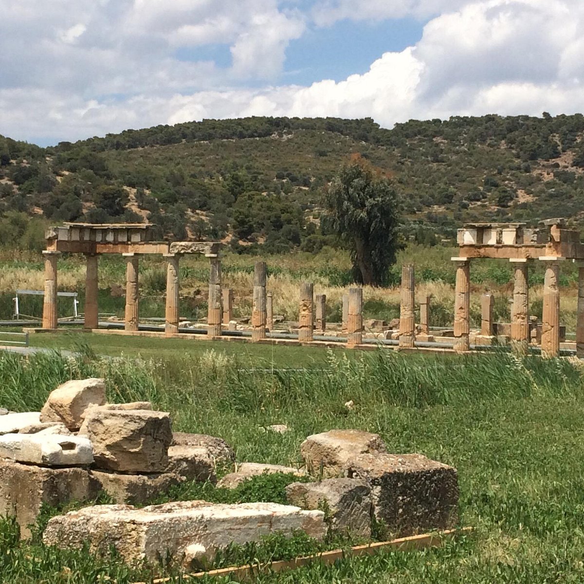 The Sanctuary of Artemis, Афины - Tripadvisor