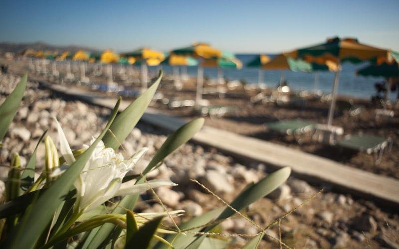 the beach - IRENE PALACE