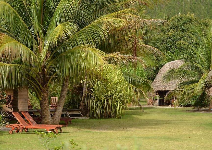 MOANA LODGE (Parea) - отзывы и фото - Tripadvisor