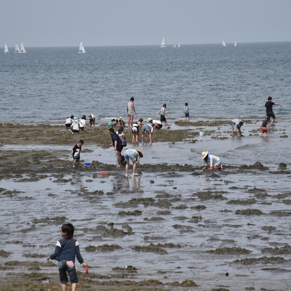 22年 御殿場海岸 行く前に 見どころをチェック トリップアドバイザー