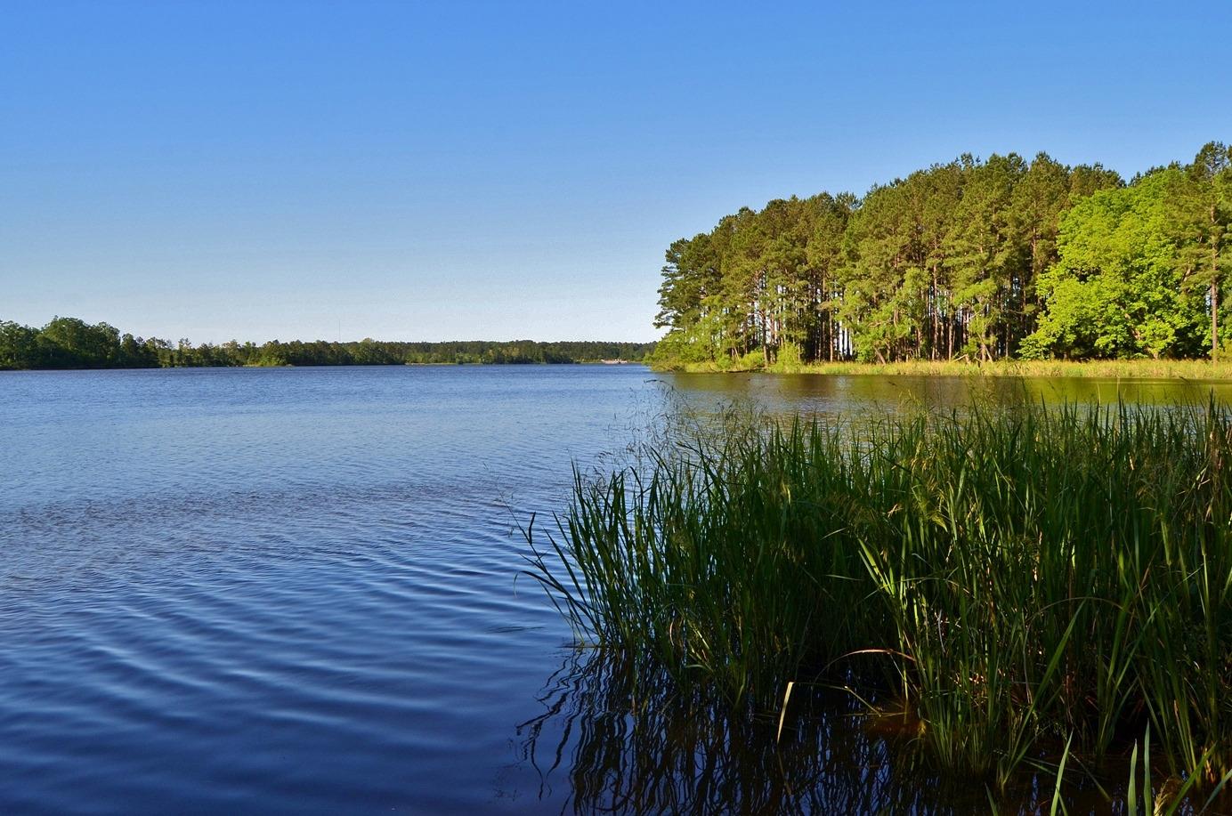 Harris lake cheap bike trails