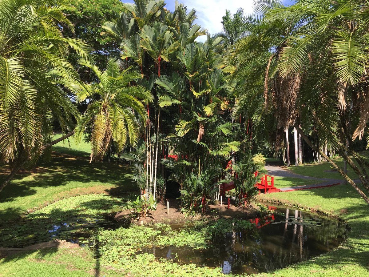 Jardín Botánico de la Universidad de Puerto Rico