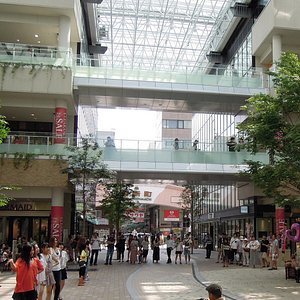 香川県のショッピング デパート ベスト10 トリップアドバイザー 香川県のショッピング デパート ベスト10 トリップアドバイザー
