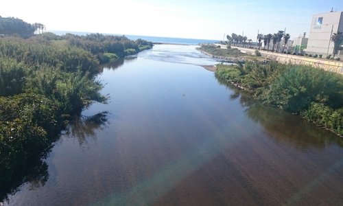 Parc Fluvial del Besós